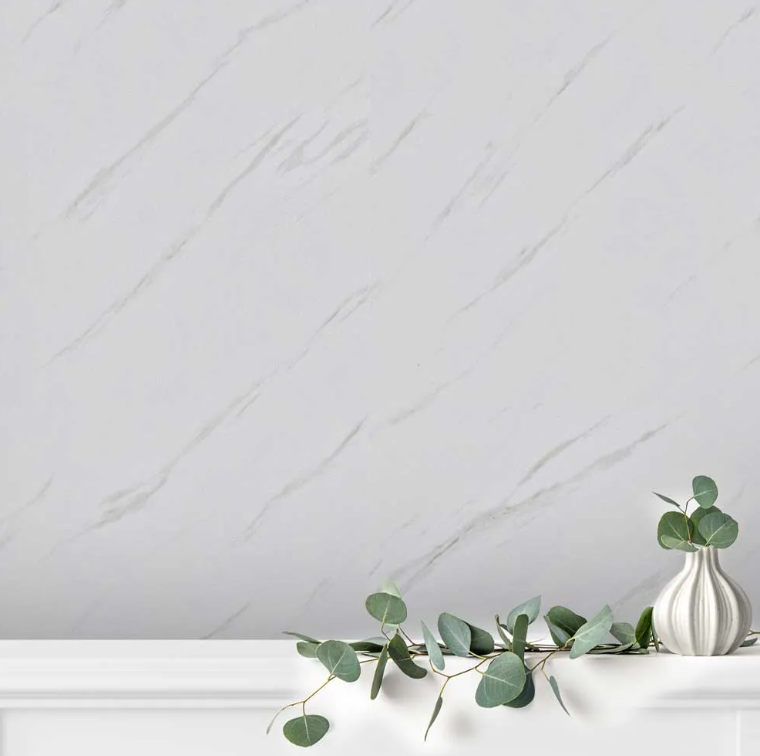 Matt Carrera - Image 2