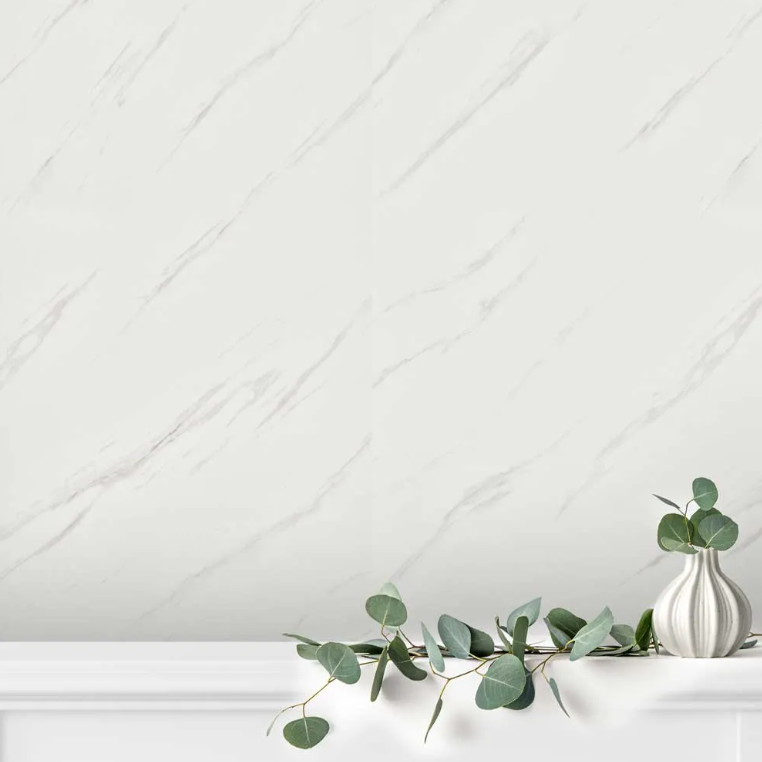 Gloss Carrera White - Image 4