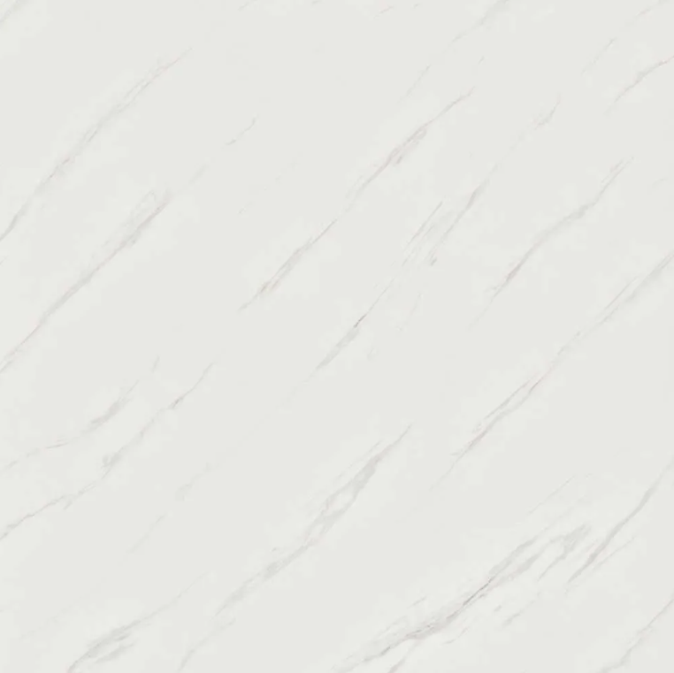 Gloss Carrera White - Image 2